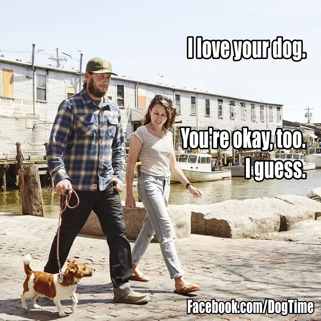 Miluji vašeho psa' title=