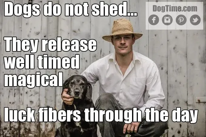 Magická vlákna štěstí' title=