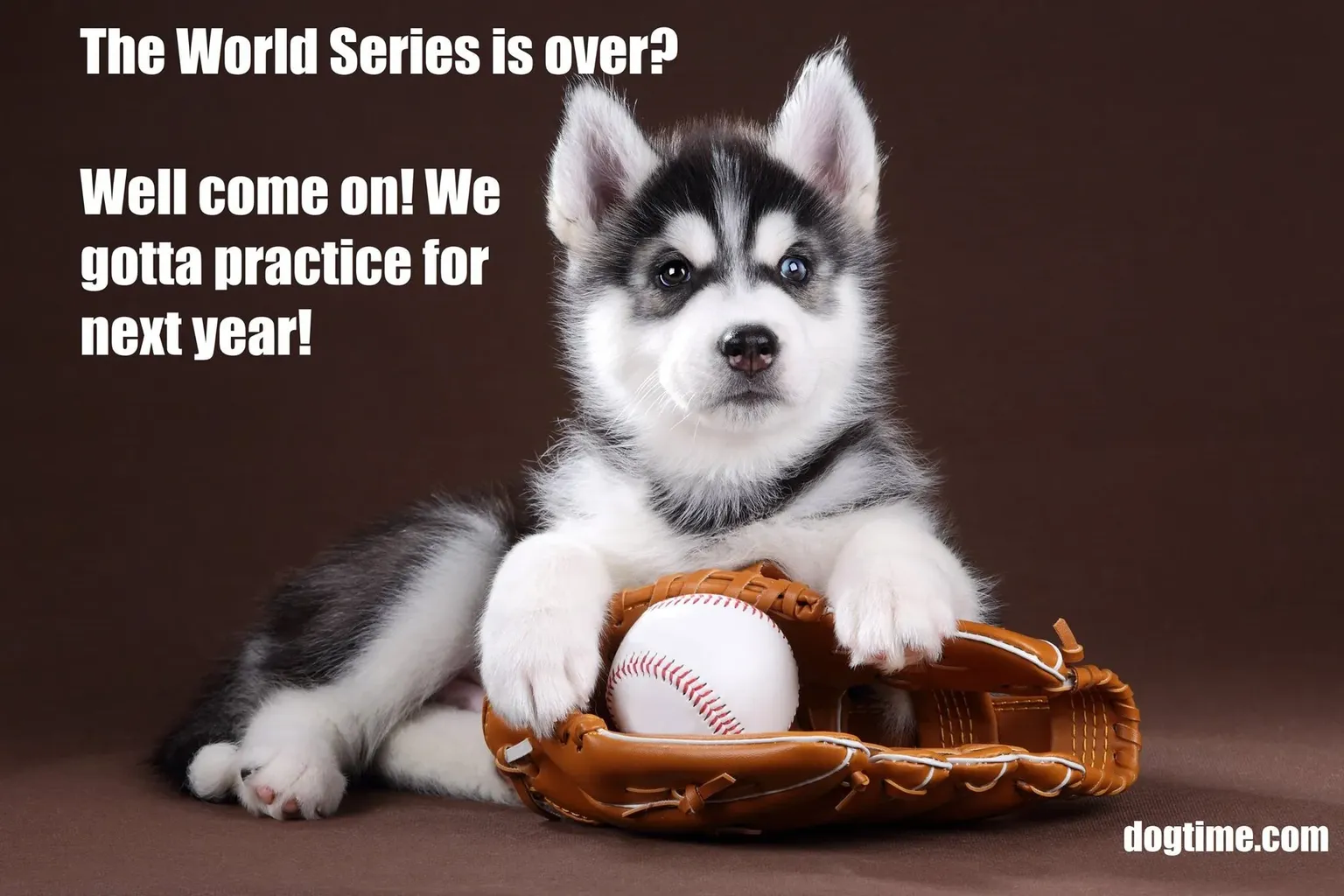 Světová série' title=