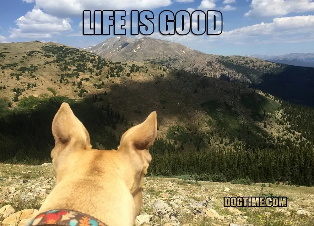 Život je dobrý' title=