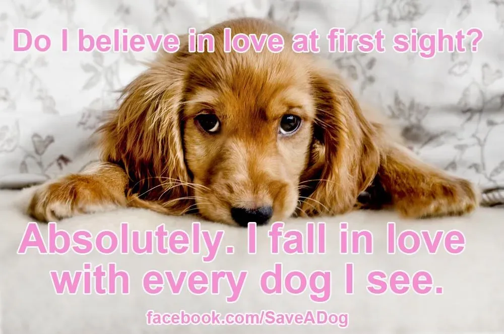 Láska Na První Pohled' title=