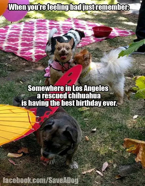 Nejlepší narozeniny vůbec' title=