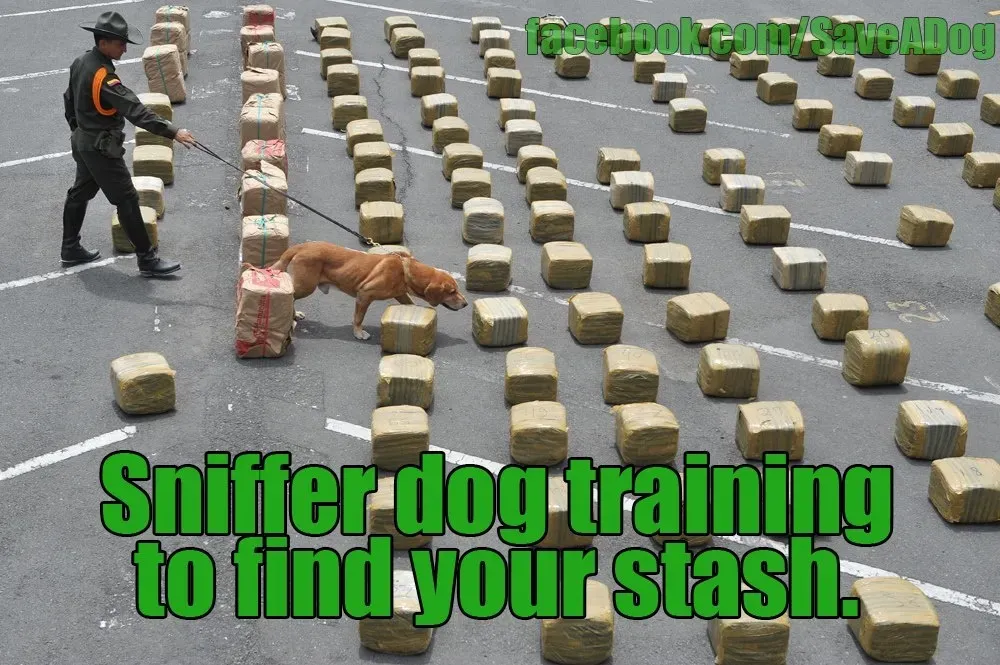 Našel jsem svou skrýš' title=