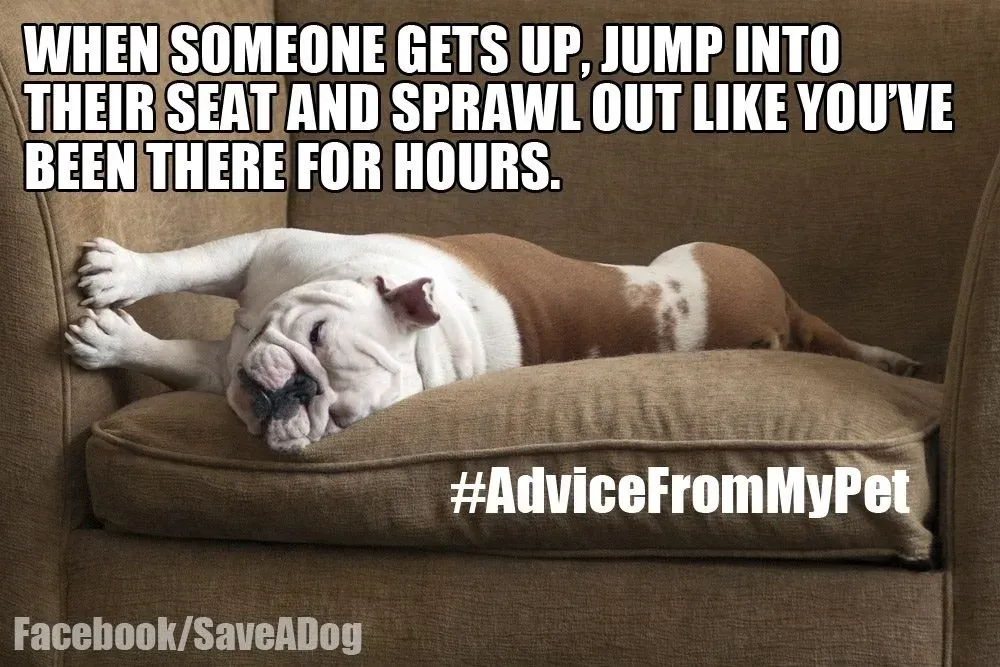 Roztáhnout se ven' title=