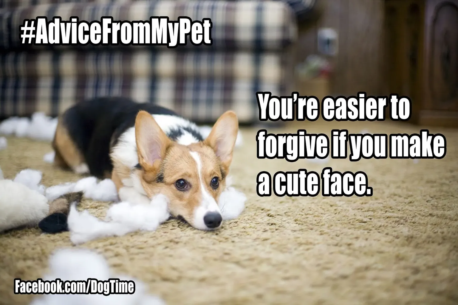 Udělejte si roztomilý obličej' title=