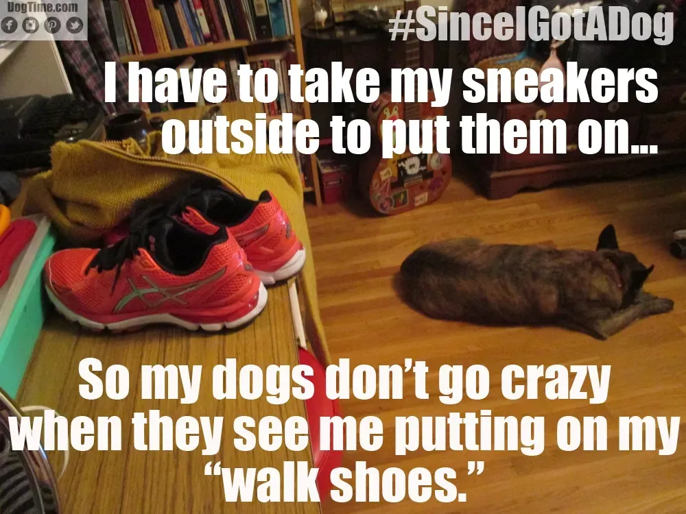 Vycházková obuv' title=