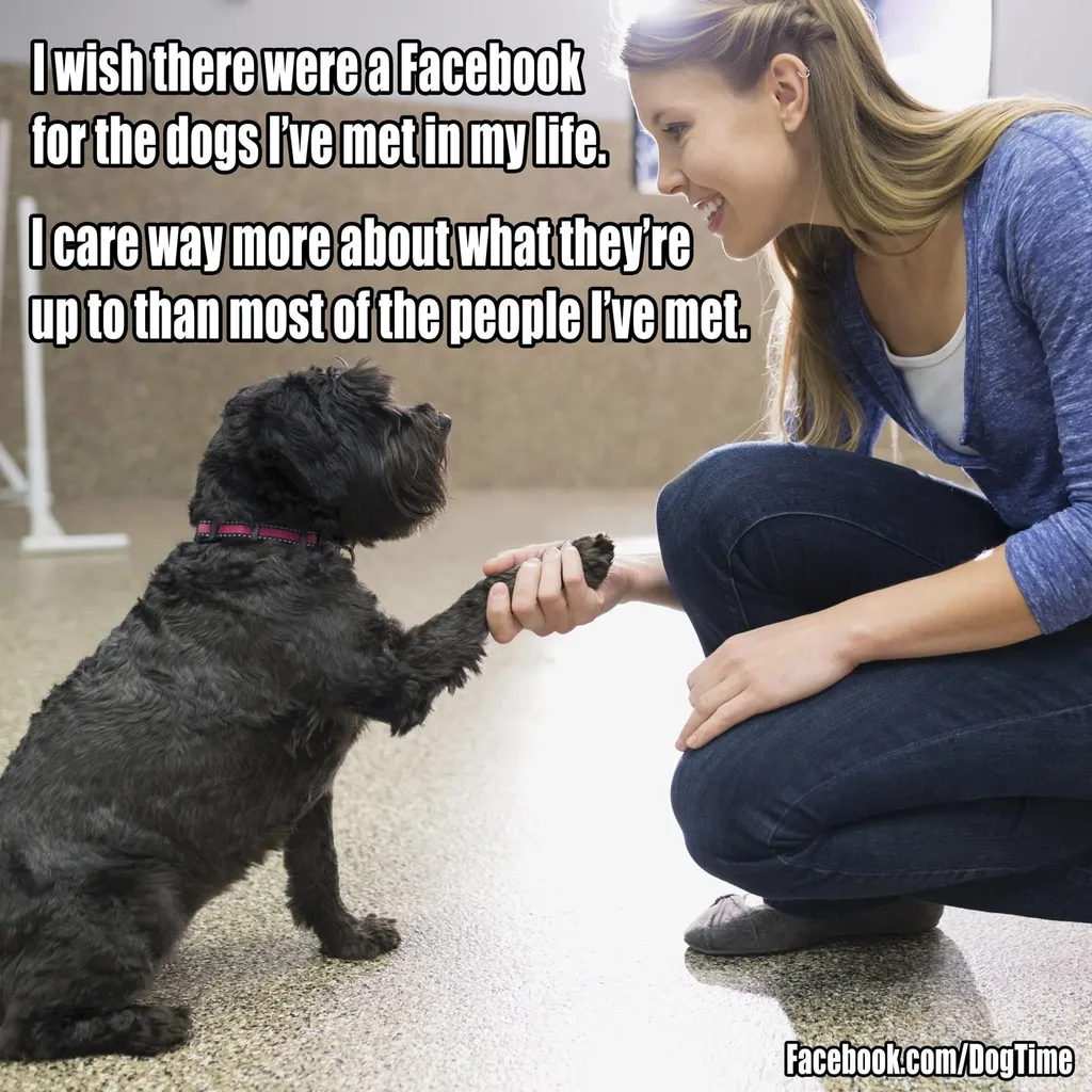 Facebook pro psy' title=