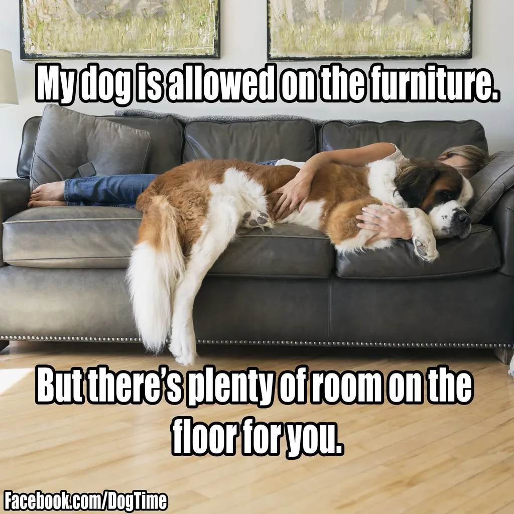 Pokoj Na Podlaze' title=