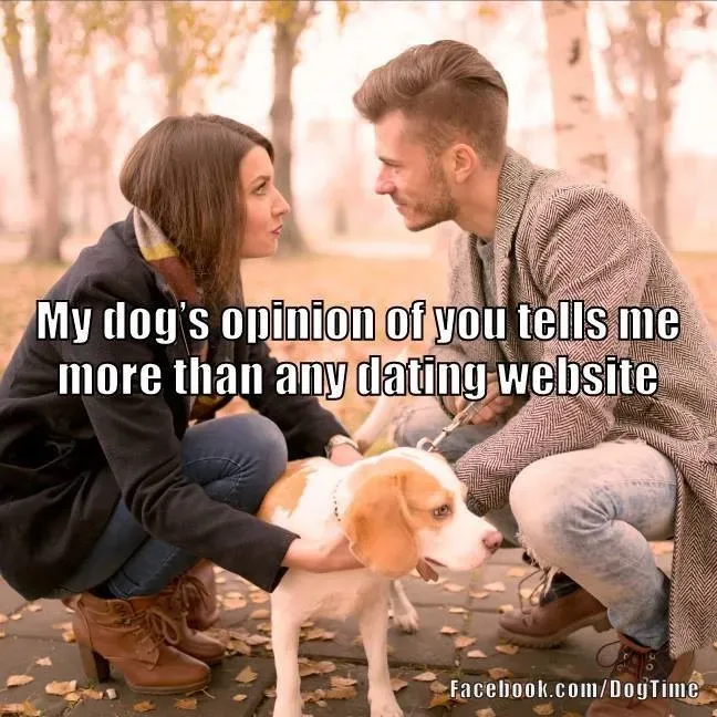 Názor mého psa' title=