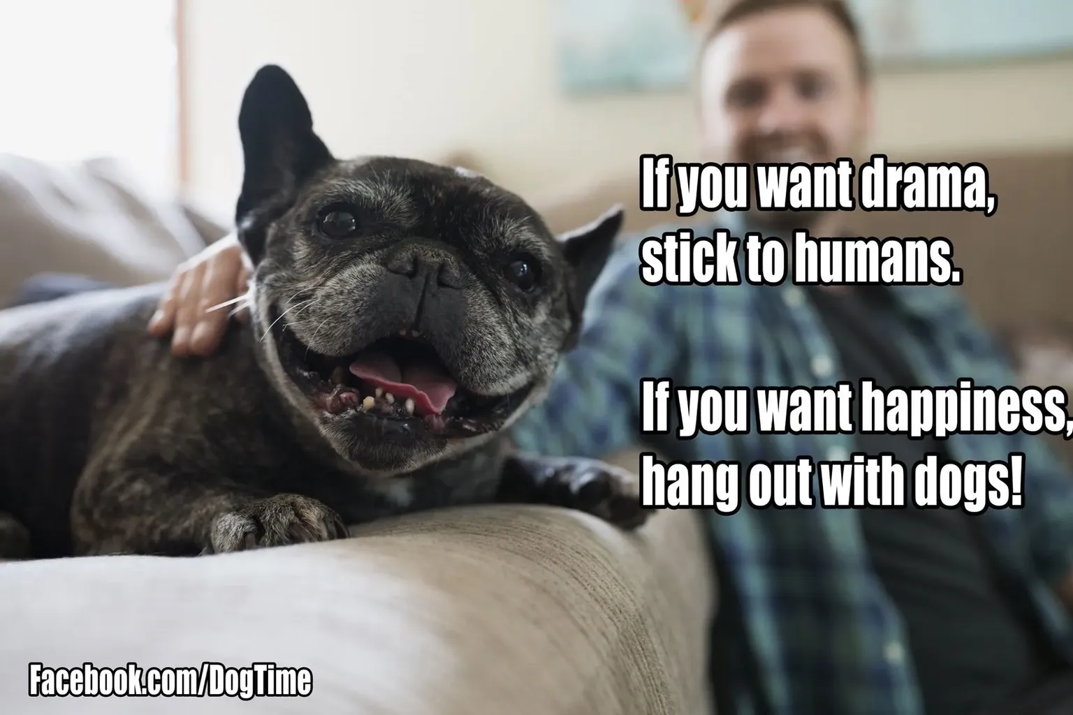 Setkat se se psy' title=