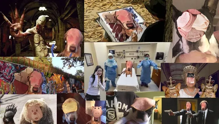 Колекција уметничких дела мема и копија паса шунка.' title=