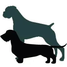 Frygtløse hundehelte ofrer liv for at redde ejere