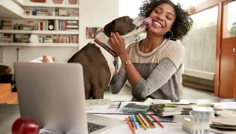 האם הייתם נפרדים מעניין אהבה אם הכלב שלכם לא יאהב אותם?