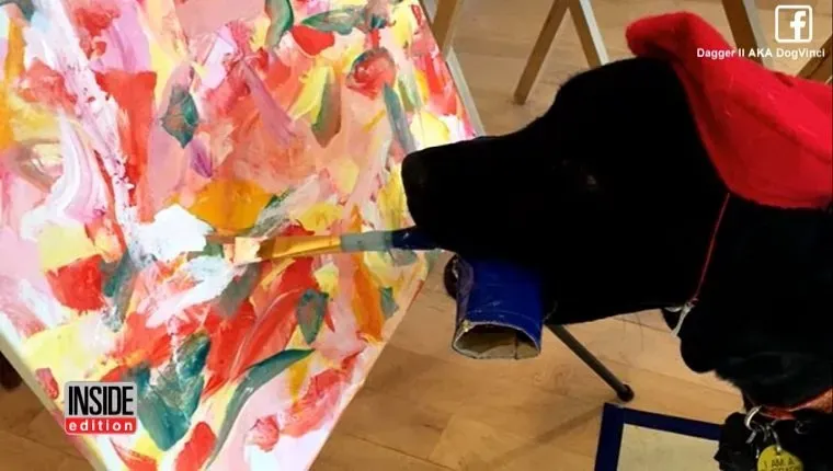 Bodež II slika s kistom u ustima.' title=