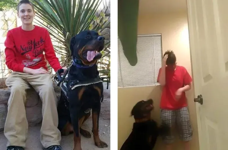 Una dona sent reconfortada pel gos de suport en un vídeo viral que va matar la policia